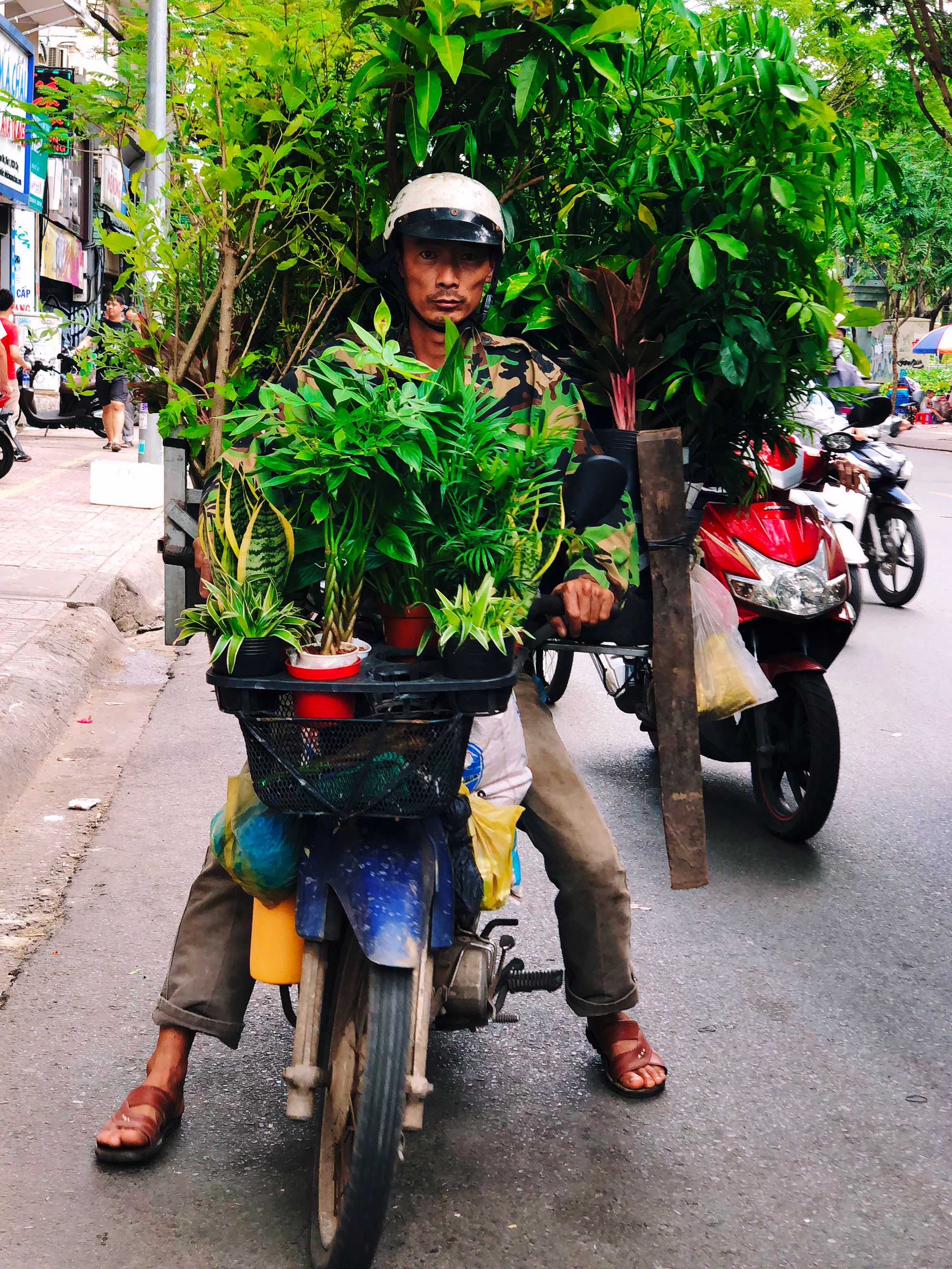 🇻🇳Vietnam